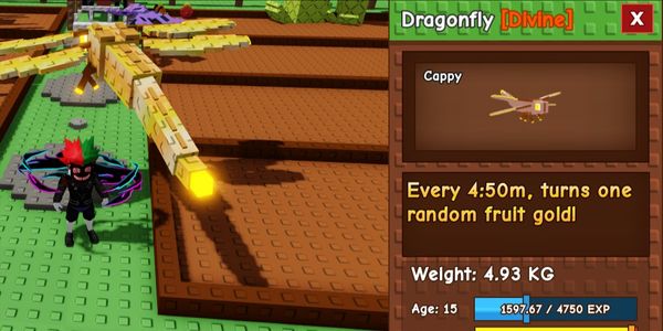 Dragon Fly