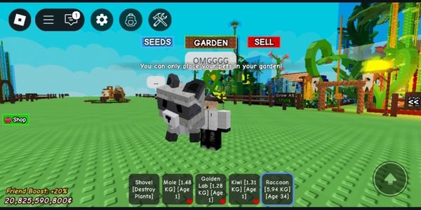 Grow A Garden Pets Racoon Age 35+