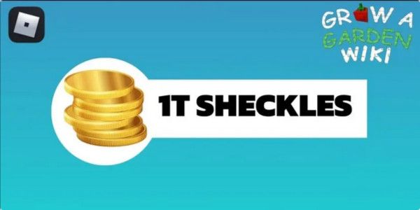1T COIN/SHECKLES