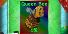Queen bee - Grow A Garden