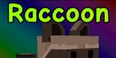 Raccon pet