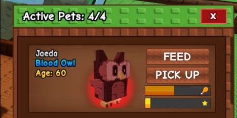 Pet Age 60 (Slot +1)