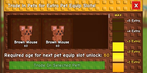Pet Level / Age 60 Random | Grow a Garden