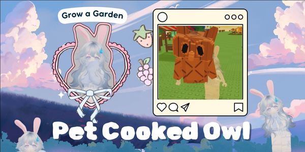 Cooked Owl Limited Pet