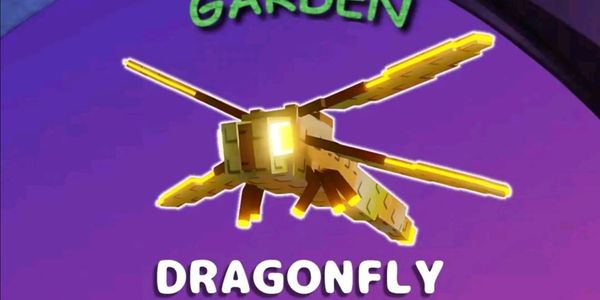 "Capung" in  is "Dragonfly."