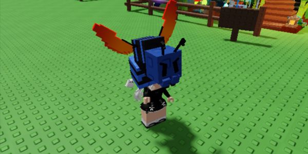 Tarantula Hawk