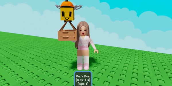 PACK BEE