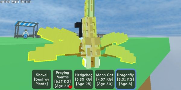 Dragonfly/Grow A Garden