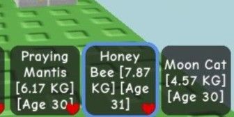 Pet age 30 Random [Grow A Garden]