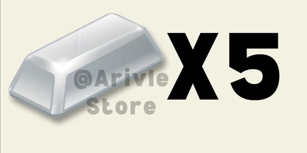Silver Bar 5 PCS
