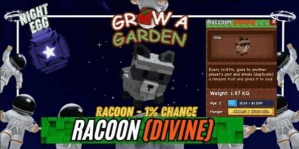 Raccoon - Grow A Garden