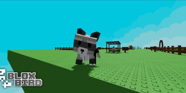 Big Raccoon - Grow a Garden