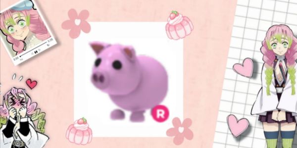 "Ride" pig