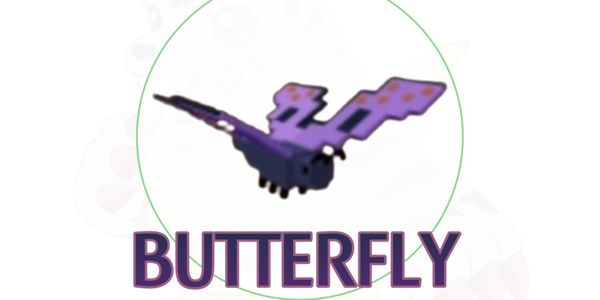 Butterfly