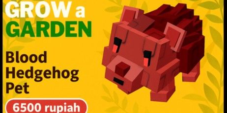 Blood Hedgehog / Landak Darah
