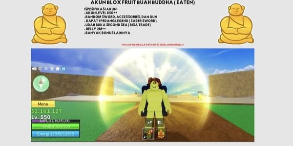 BLOX FRUIT ACCOUNT – BUDDHA FRUIT (EATEN)