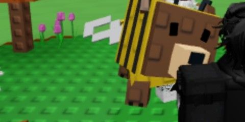 Bear Bee