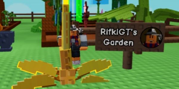 Dragonfly Pets Grow A Garden