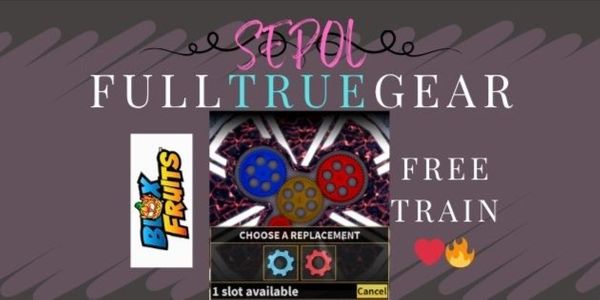 Full Gear+Full Train (True Gear)