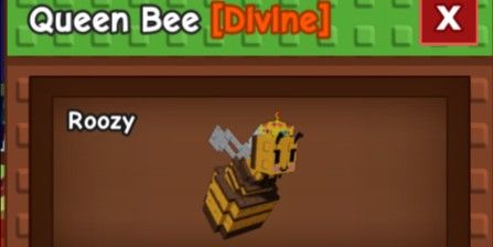 Queen Bee Pets
