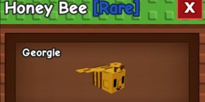 Honey Bee Pets