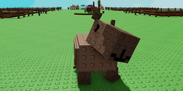 Capybara (LEGENDARY) Pet -Grow A Garden