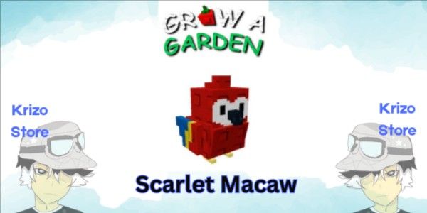 Scarlet Macaw - Grow A Garden