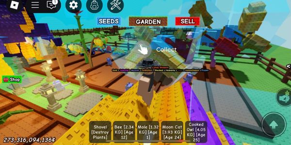 ACCOUNT 2 CANDY BLOSSOM WITH 9 AND 8 MUTATIONS