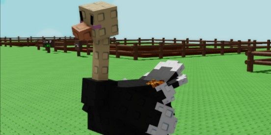 Ostrich