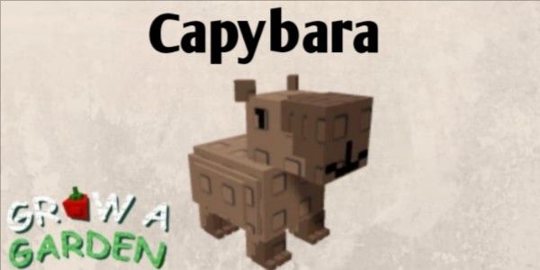 Capybara