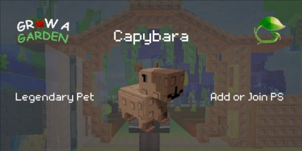Capybara