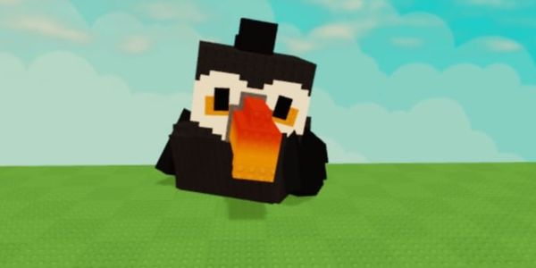GIANT PET TOUCAN (HUGE)