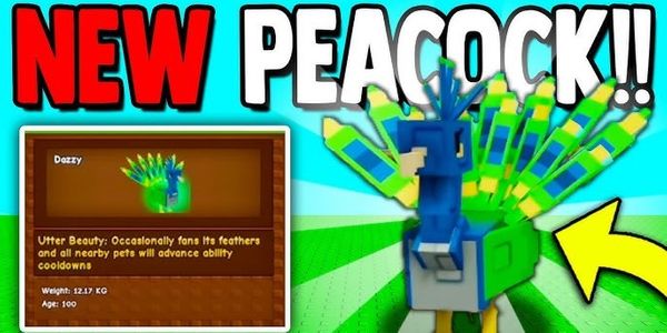 PEACOCK