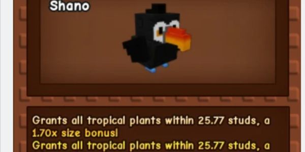Toucan
