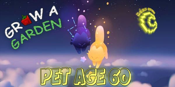 Pets Age 60