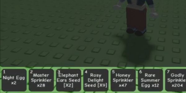 2 Elephant Ear Account
