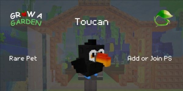 Toucan
