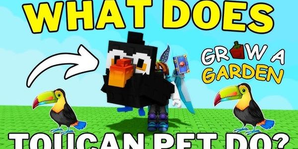 toucan