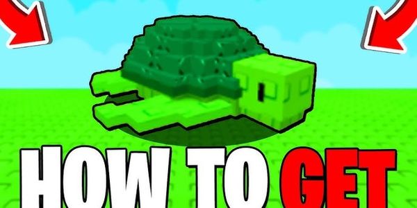Sea turtle grow a garden