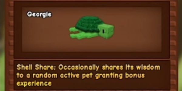 Sea Turtle
