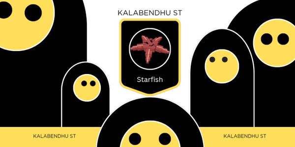 Starfish (Bintang Laut) Grow a Garden
