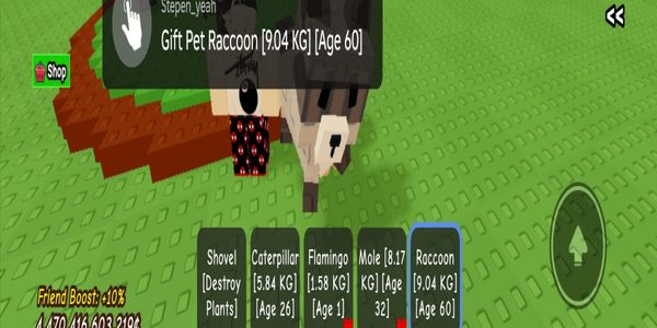 Racoon BIG SIZE 9KG+ level 60