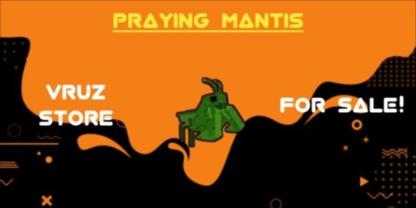 Praying Mantis | Grow a Garden