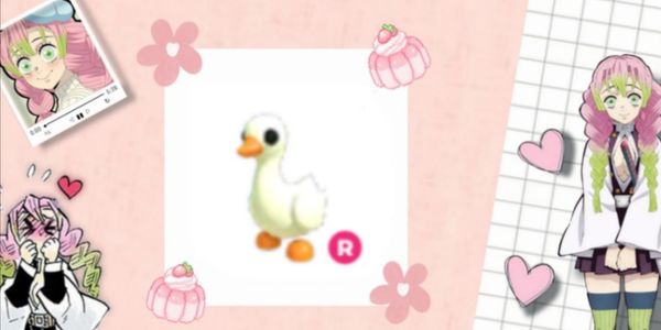 ride goose