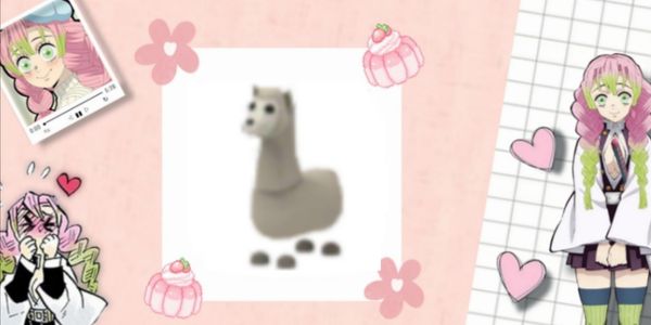Llama