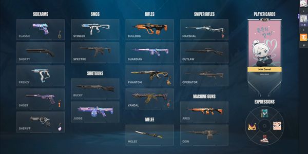 Valo Account With Championship 2024 Bundle