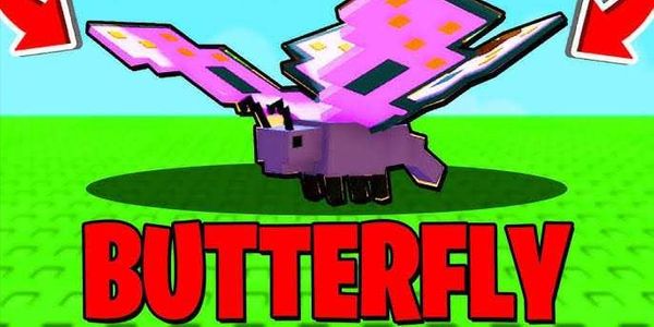 Butterfly