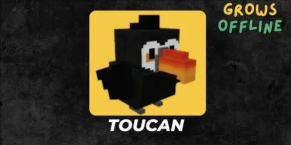 Toucan