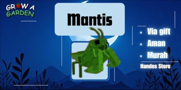 Pet Mantis