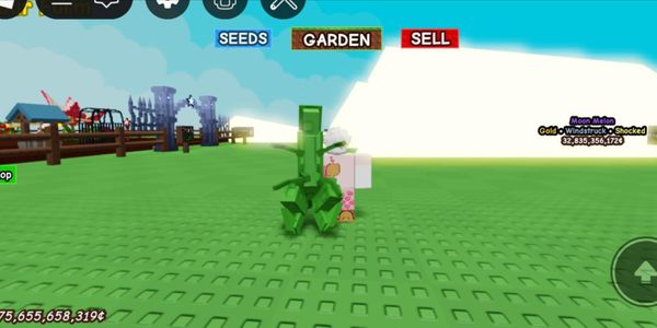 Praying Mantis